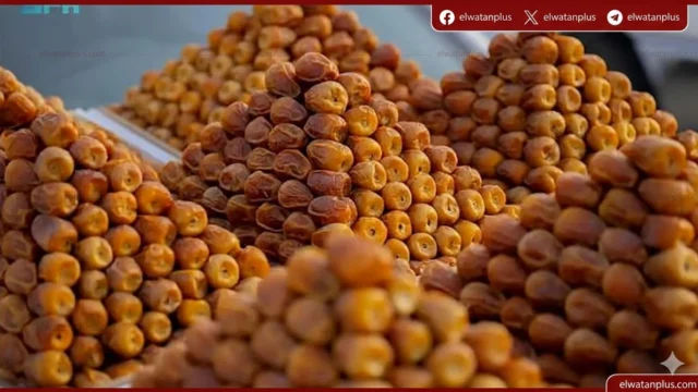 للنخيل والتمور