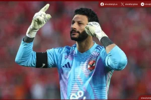 محمد الشناوي