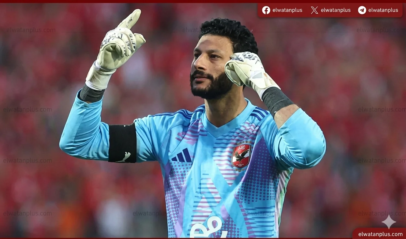 محمد الشناوي
