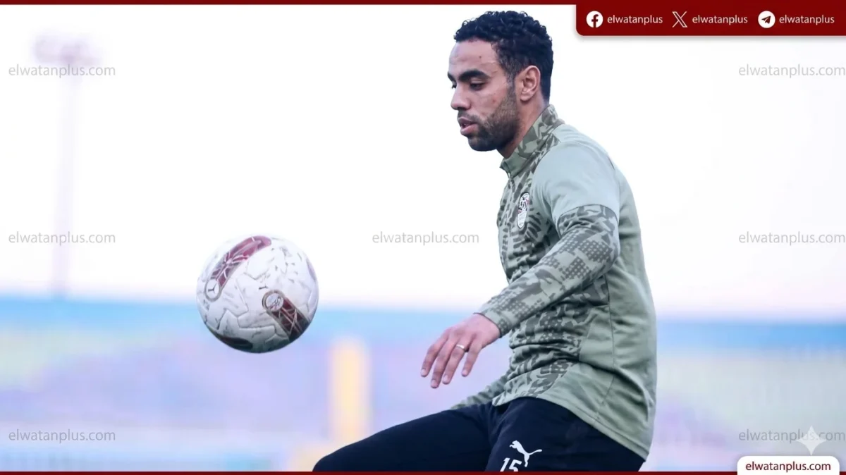 محمد الشيبي