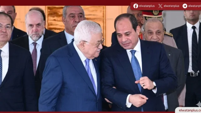 محمد الغيطي تصريحات اليوم السابع