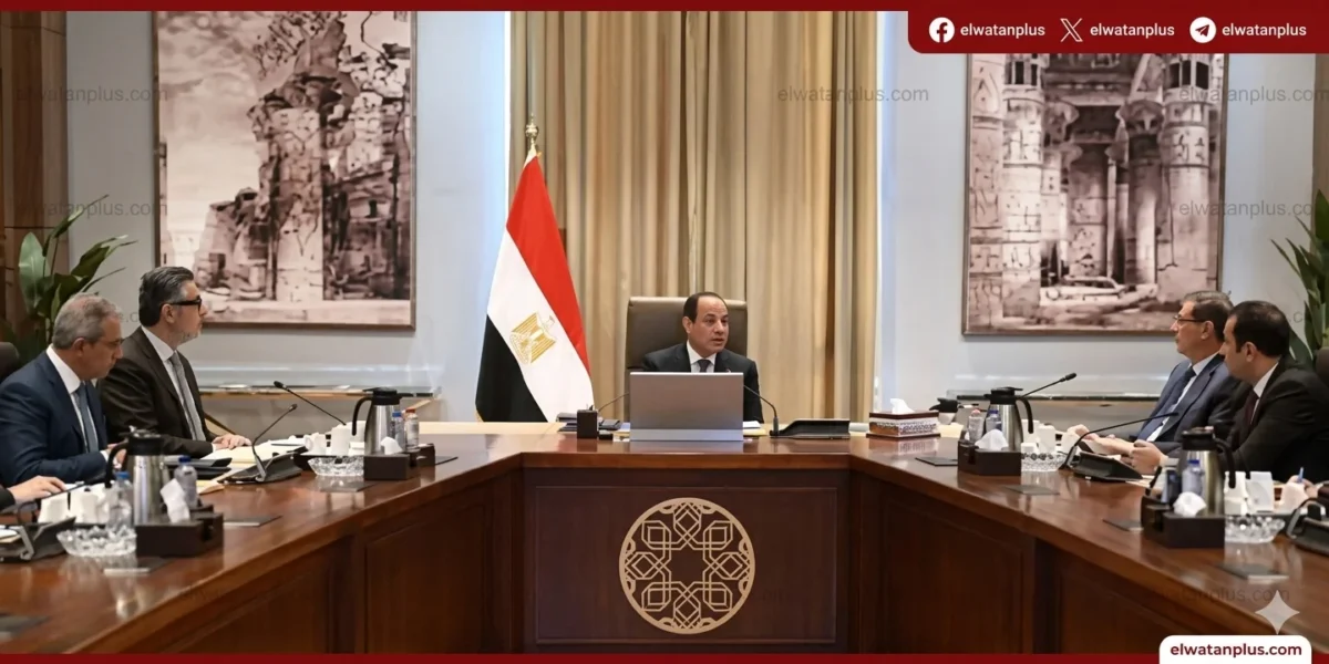 مخزون السلع في مصر 2026