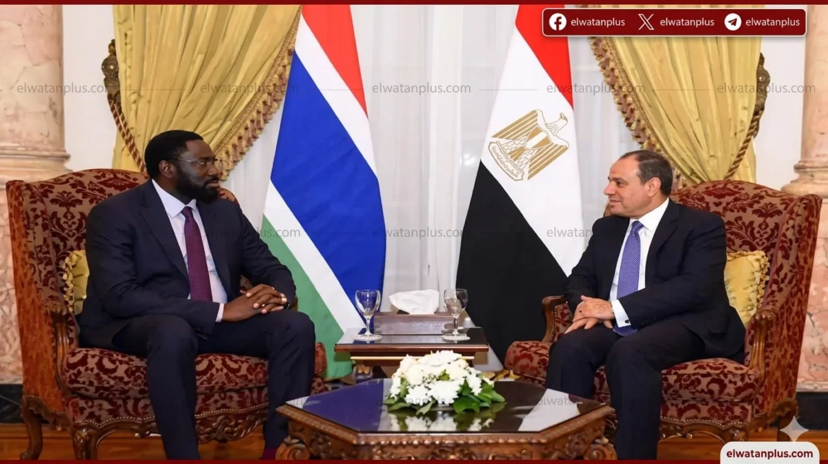 مصر وجامبيا تبحثان تعزيز التعاون الاقتصادي والتنموي على هامش اجتماع أفريقي