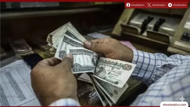 معاشات مايو 2026