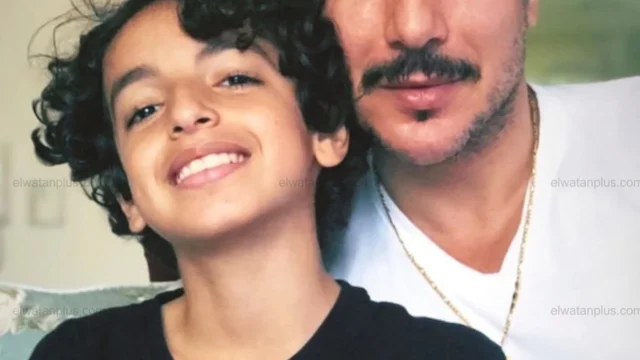 السيرة الذاتية للفنان كمال الشناوي