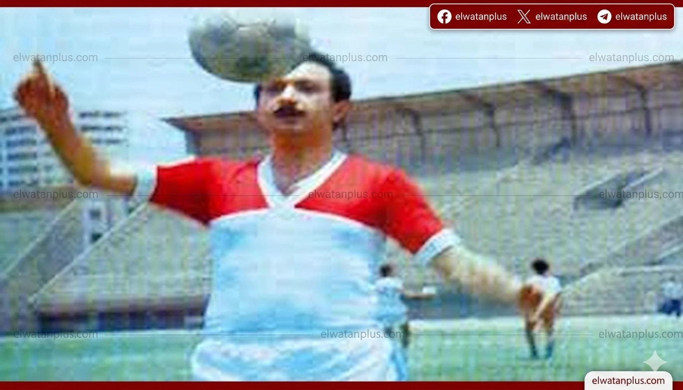 نور الشريف