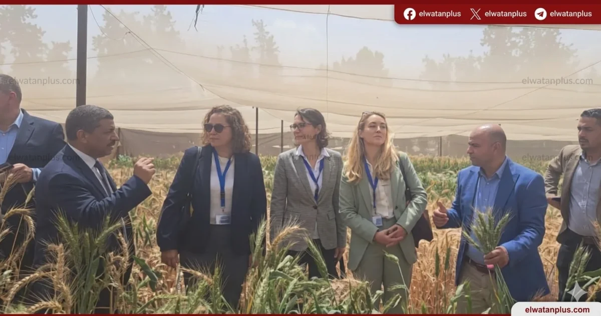 هيئة الطاقة الذرية تعاون مصر والمانيا