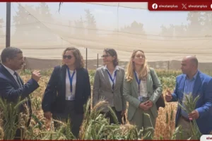 هيئة الطاقة الذرية تعاون مصر والمانيا