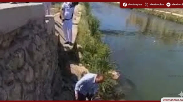 وزارة البيئة