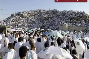 وزارة التضامن