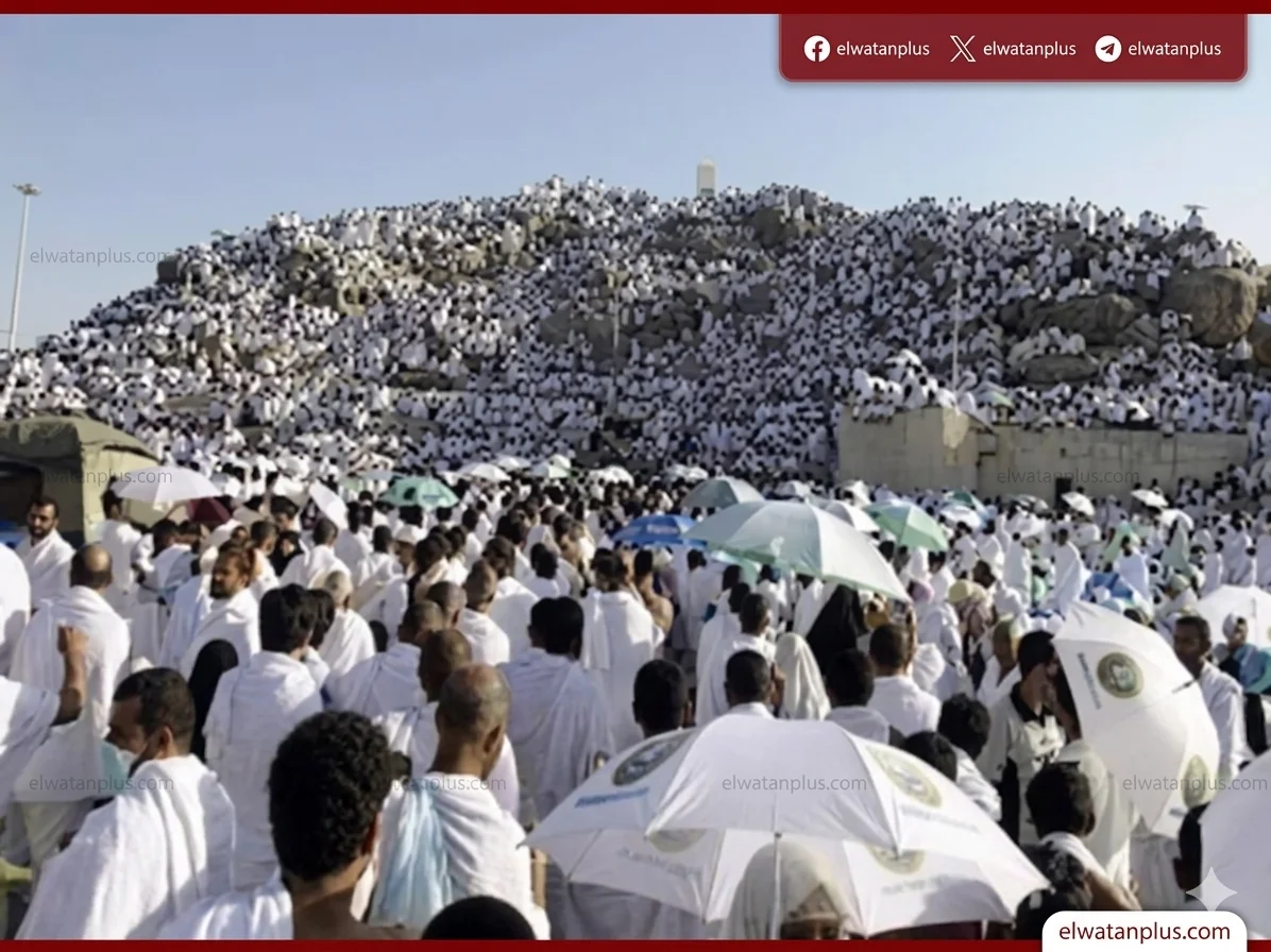 وزارة التضامن