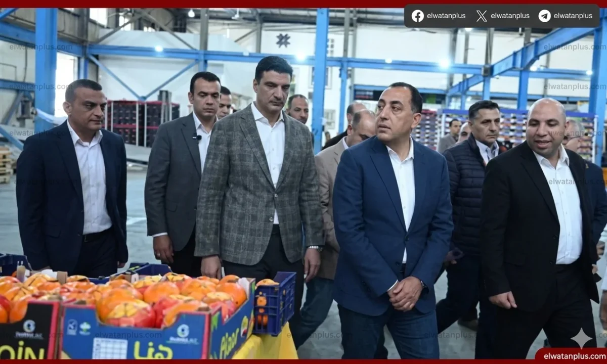 وزير الاستثمار يتفقد محطة الصواف ببنها ويؤكد دعم تصدير الحاصلات الزراعية
