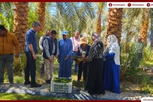 بحوث الصحراء