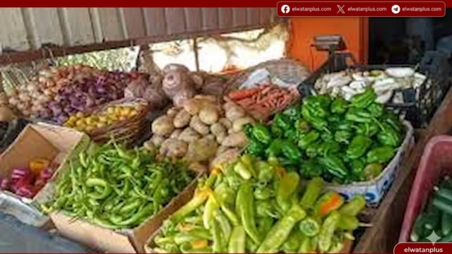 اسعار الخضروات