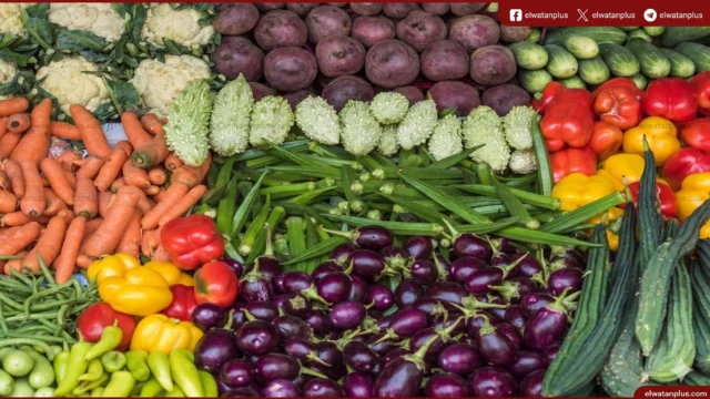 استقرار أسعار الخضروات في بورسعيد اليوم وتوازن العرض والطلب