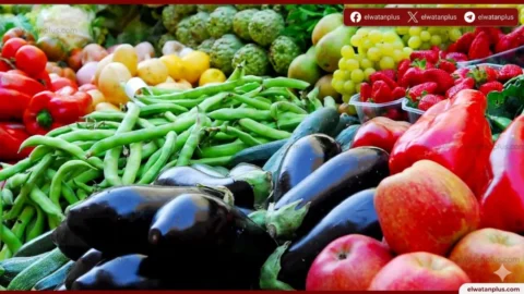 أسعار الخضار