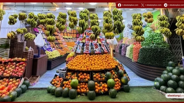 أسعار الفاكهة بسوهاج.. الموز يبدأ من 25 جنيها