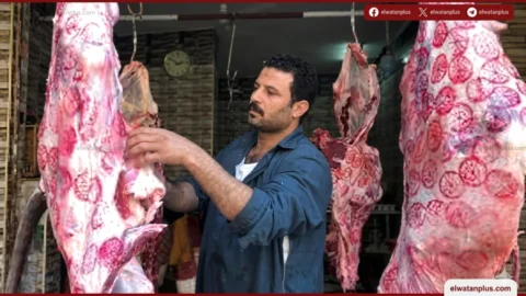 أسعار اللحوم