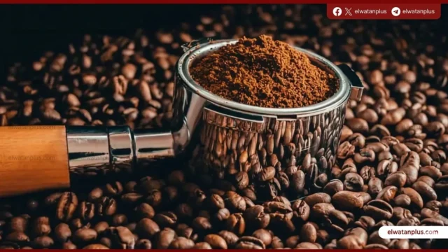 ارتفاع اسعار القهوة في مصر