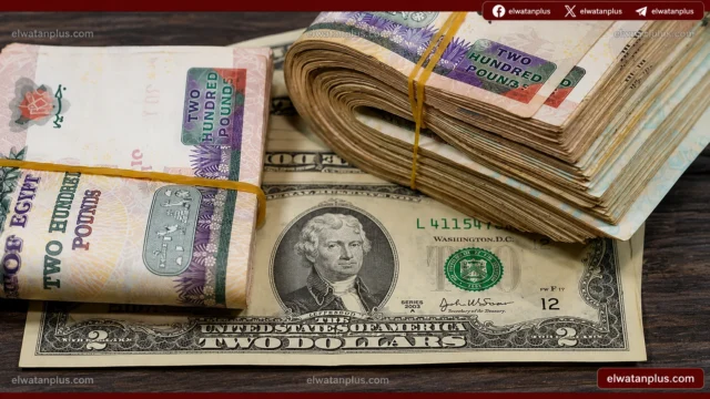 سعر الدولار اليوم في مصر