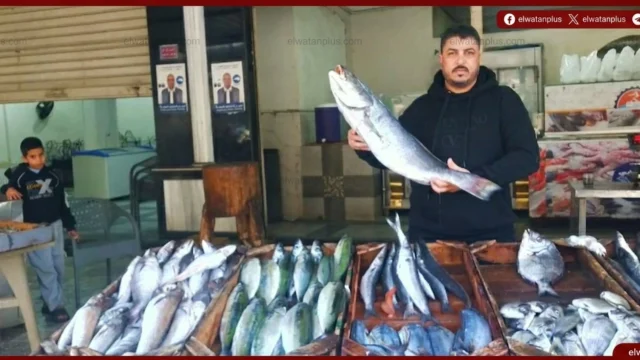 استقرار أسعار الأسماك في مطروح اليوم والبلطي يسجل 120 جنيها للكيلو