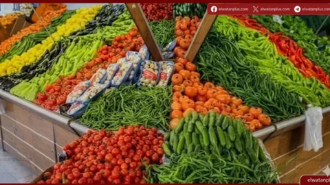 استقرار أسعار الخضراوات والفاكهة في كفر الشيخ.. والطماطم تسجل 35 جنيهًا
