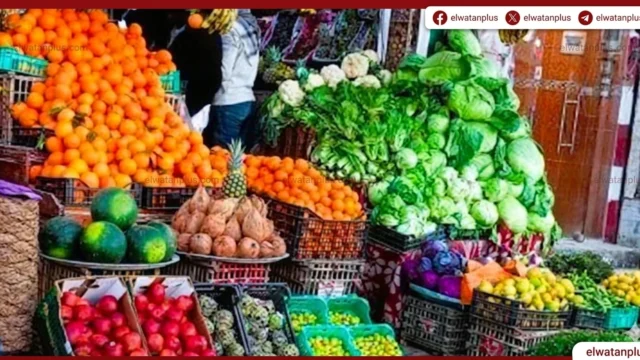 استقرار أسعار الخضروات والفاكهة اليوم في أسواق المنوفية