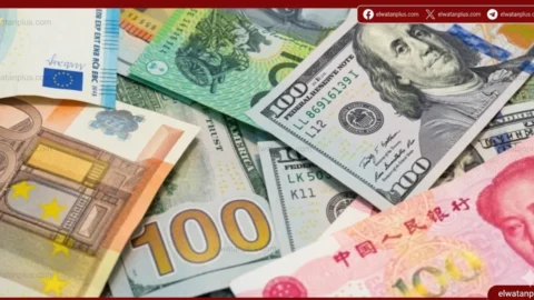 استقرار أسعار الدولار والعملات الأجنبية أمام الجنيه الخميس