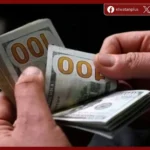 استقرار سعر الدولار مقابل الجنيه بنهاية تعاملات الاثنين