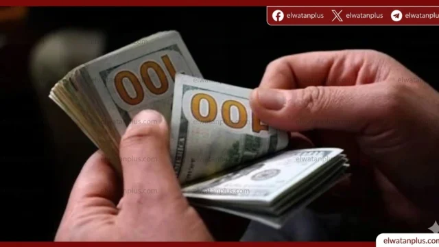 استقرار سعر الدولار مقابل الجنيه بنهاية تعاملات الاثنين