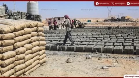 اسعار الحديد اليوم في مصر 2026