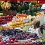 استقرار أسعار الخضروات والفاكهة في الأسواق المصرية اليوم الأحد مع تفاوت محدود بين الأصناف
