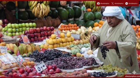 اسعار الخضروات والفاكهة في مصر اليوم