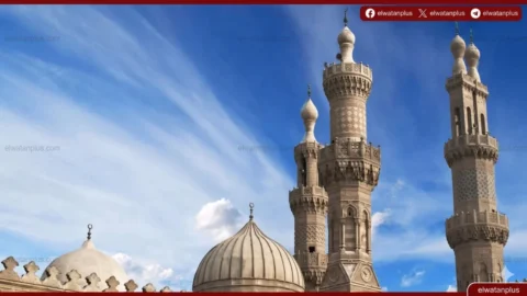الأزهر: مشروع قانون الأحوال الشخصية لم يُعرض علينا حتى الآن