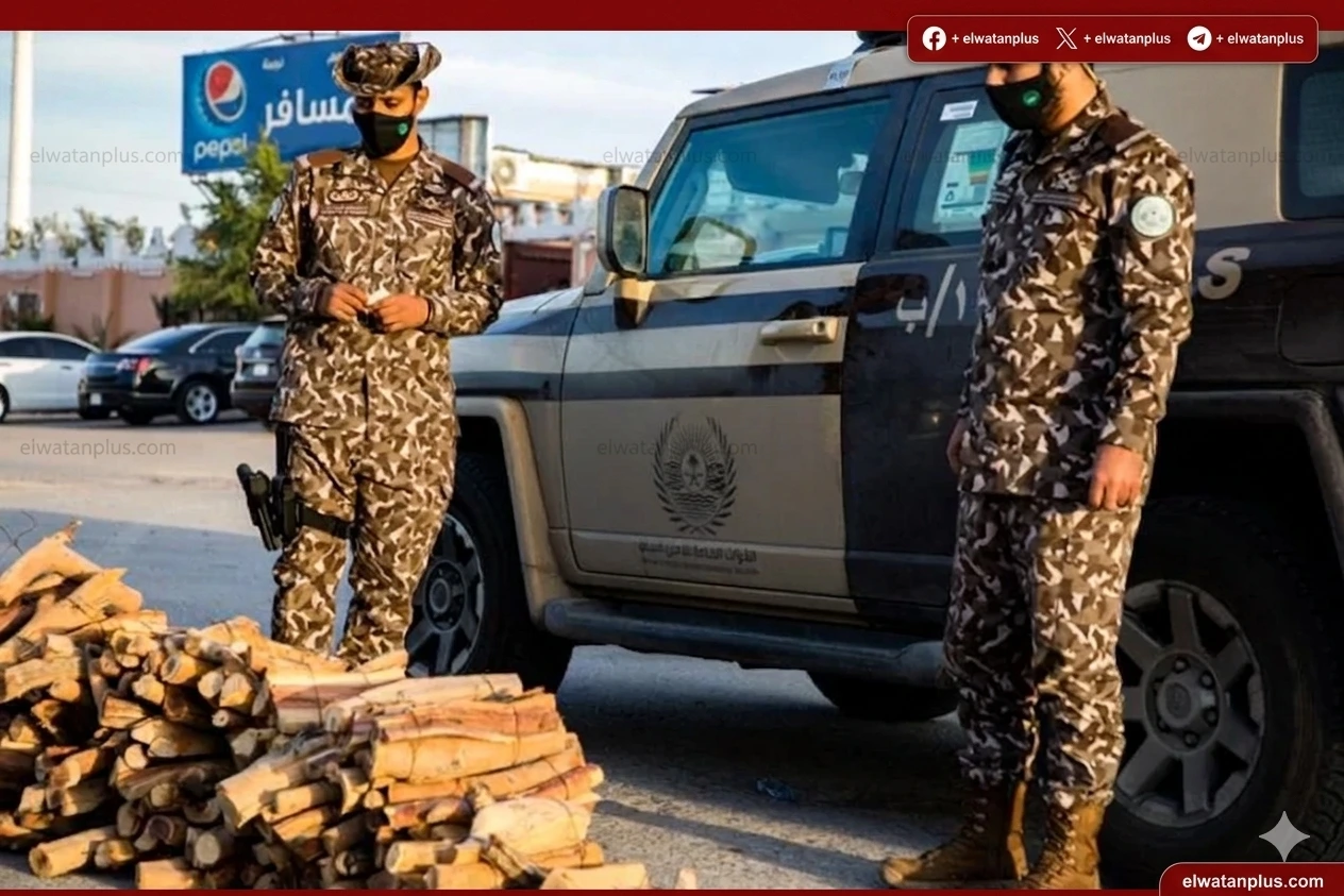 الأمن البيئي