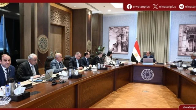التعاون بين مصر وشركة ماكنزي في الطاقة