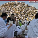 «الخطة الذهبية» لحج القرعة المصري بالمدينة المنورة.. منظومة متكاملة لخدمة ضيوف الرحمن على مدار الساعة