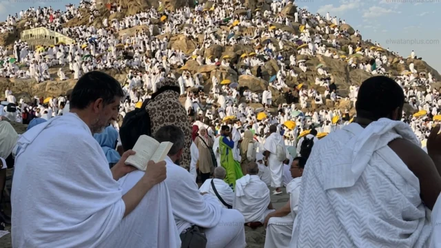 الحجاج