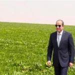الدلتا الجديدة.. مشروع قومي ضخم يتحول إلى واقع باستثمارات تتجاوز 800 مليار جنيه