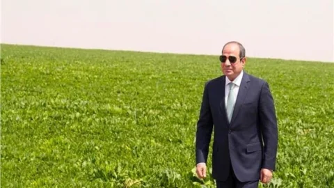 الدلتا الجديدة.. مشروع قومي ضخم يتحول إلى واقع باستثمارات تتجاوز 800 مليار جنيه