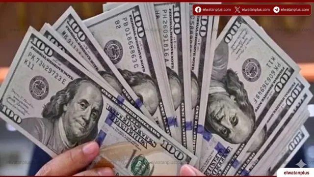 الدولار يقلص مكاسبه أمام الجنيه في ختام تعاملات اليوم بالبنوك