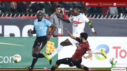 الزمالك