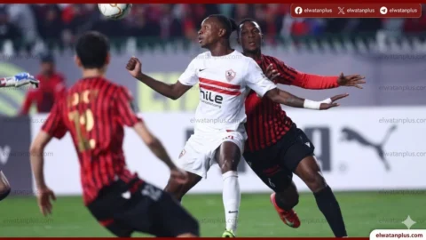 الزمالك