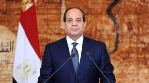 السيسي يبحث مع وزيري خارجية الجزائر وتونس تطورات المنطقة
