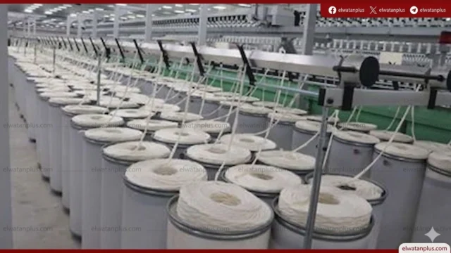 الشركة القابضة للقطن والغزل والنسيج زيادة رأس المال 2025