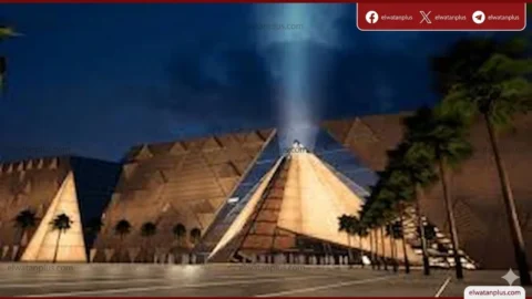 المتاحف مجانا