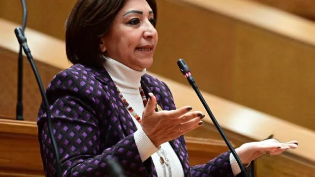 النائبة مها عبد الناصر