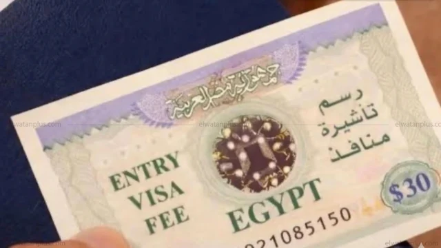 تأشيرة إلكترونية