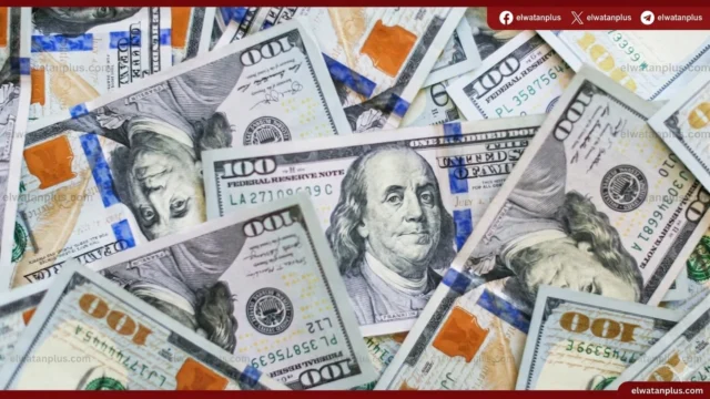 تراجع سعر الدولار امام الجنيه في منتصف تعاملات اليوم