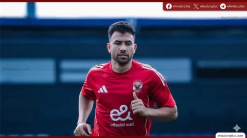 تريزيجيه
